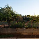 Villa Villa Green Oasis With Private Pool, Full Privacy Sukošan